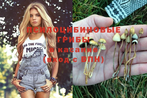 шишки Бежецк