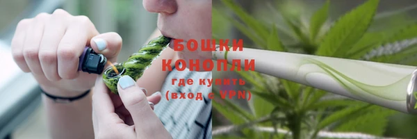 тгк Новозыбков