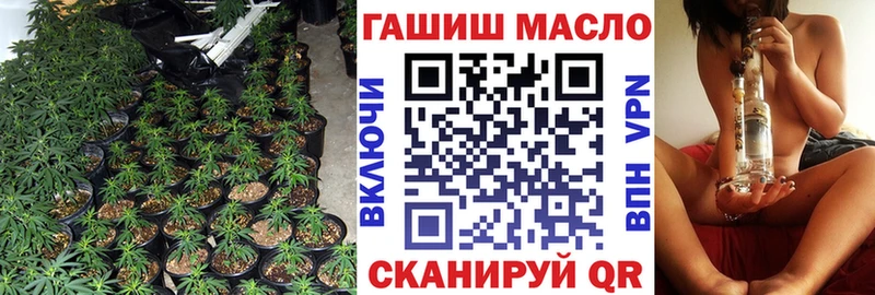 ТГК жижа  Купить где  Кедровый 