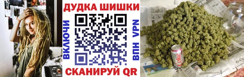 Конопля гибрид  Купить где  Кедровый 